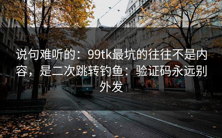 说句难听的：99tk最坑的往往不是内容，是二次跳转钓鱼：验证码永远别外发