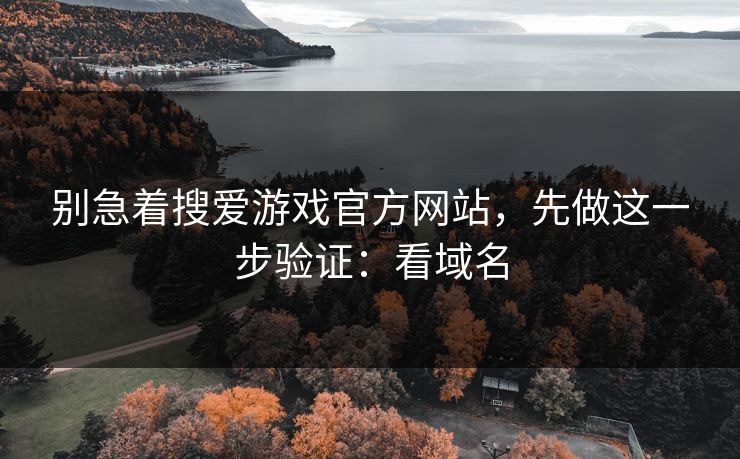 别急着搜爱游戏官方网站，先做这一步验证：看域名