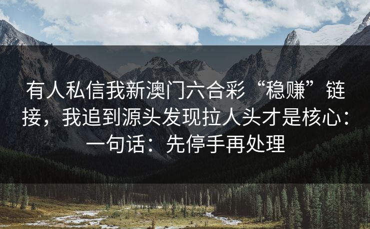 有人私信我新澳门六合彩“稳赚”链接，我追到源头发现拉人头才是核心：一句话：先停手再处理