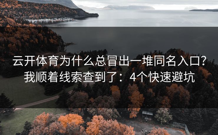 云开体育为什么总冒出一堆同名入口？我顺着线索查到了：4个快速避坑