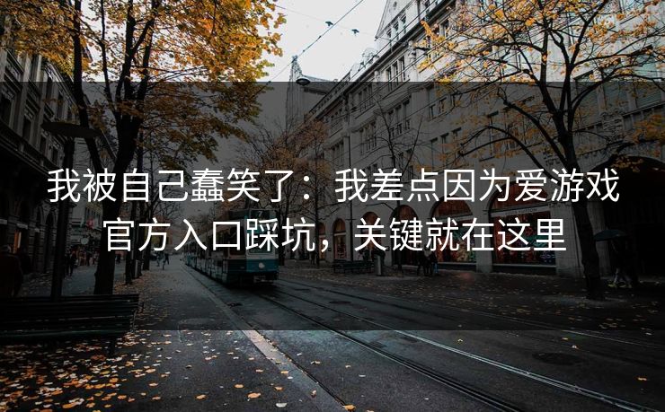 我被自己蠢笑了：我差点因为爱游戏官方入口踩坑，关键就在这里